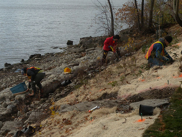 aménagement de berges municipalité